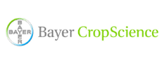 Bayer