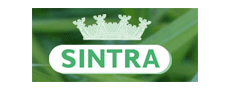 Sintra S.A.